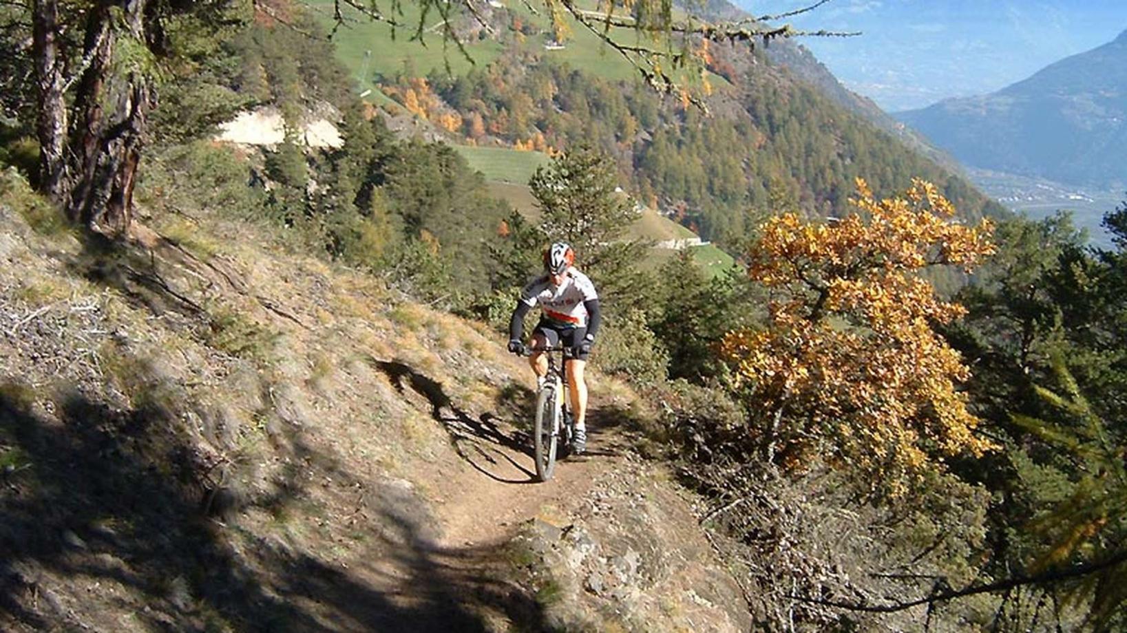 015 On the sun side of Naturno