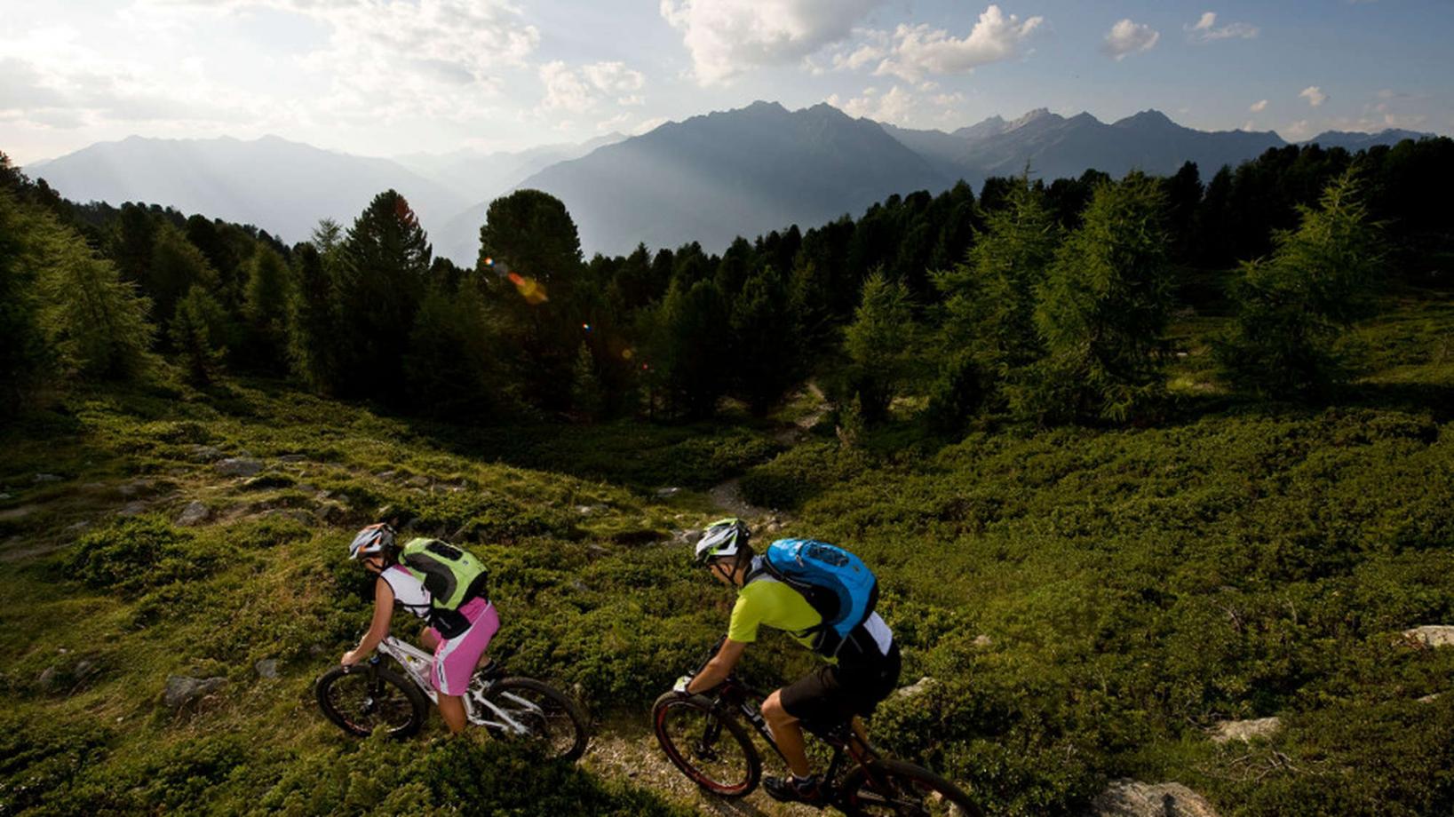 031 Tour to the "Lupo Trail"
