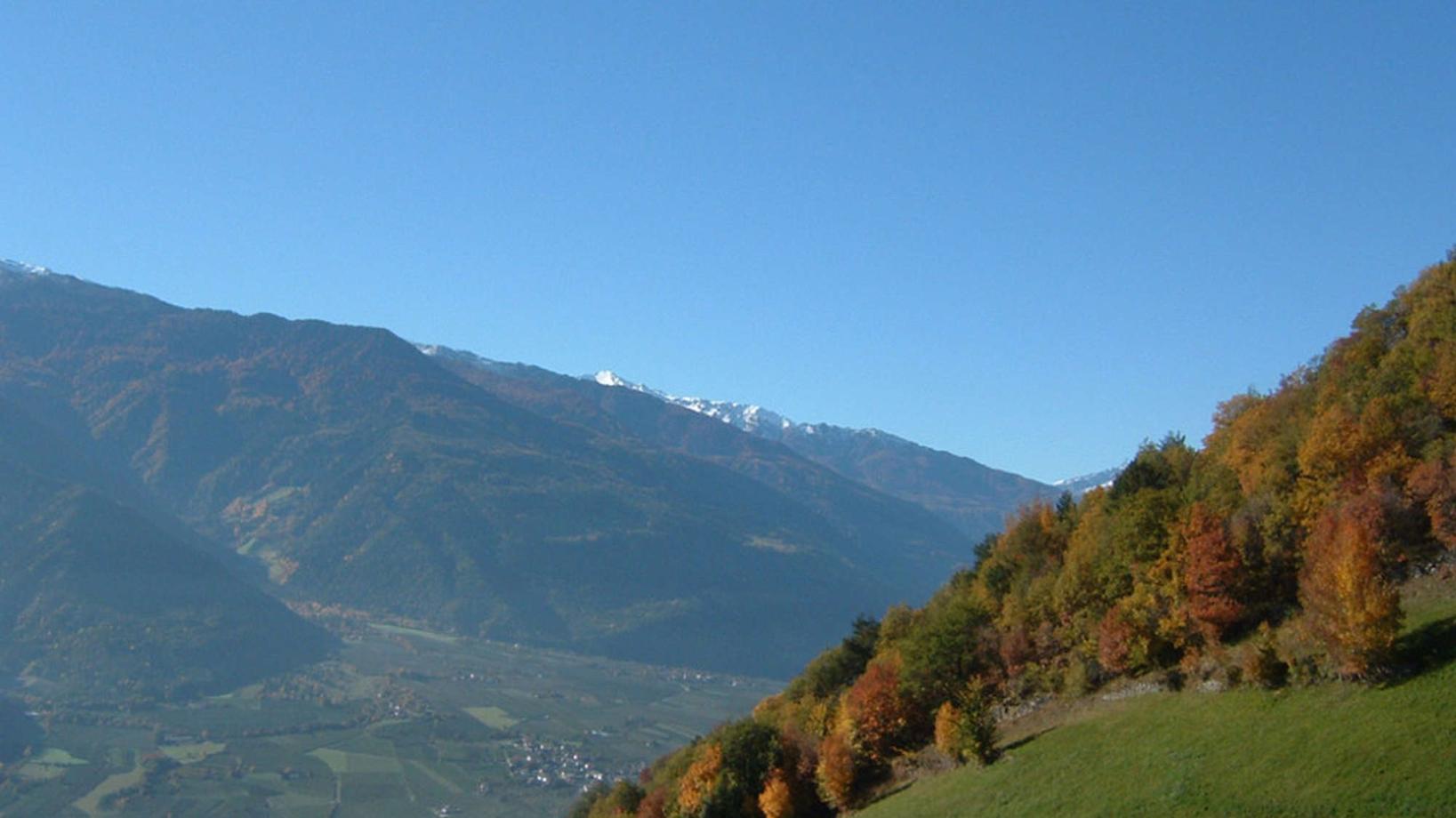 043 Tour to the farm "Schnatzhof"