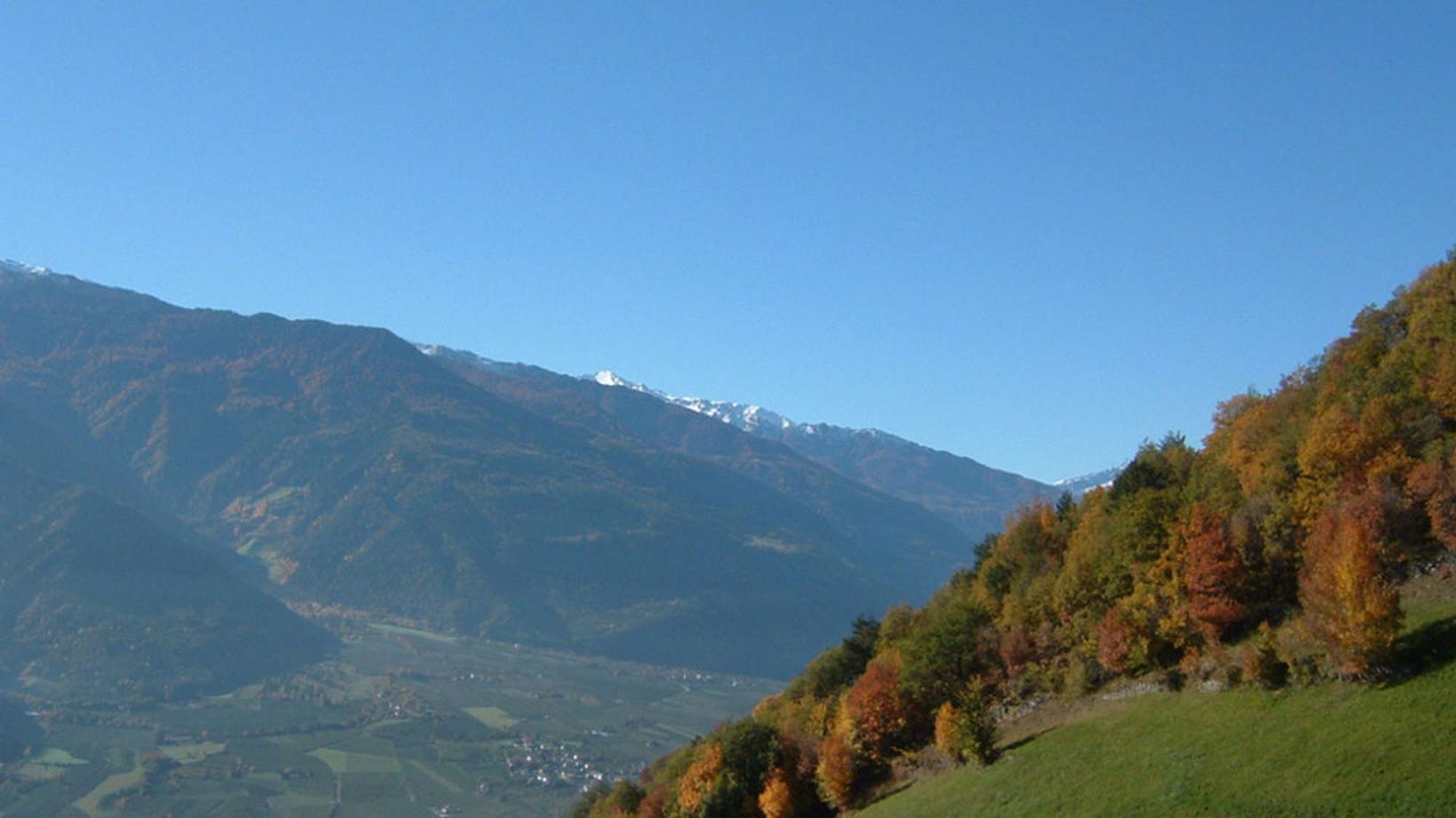 043 Tour to the "Schnatzhof" farm 