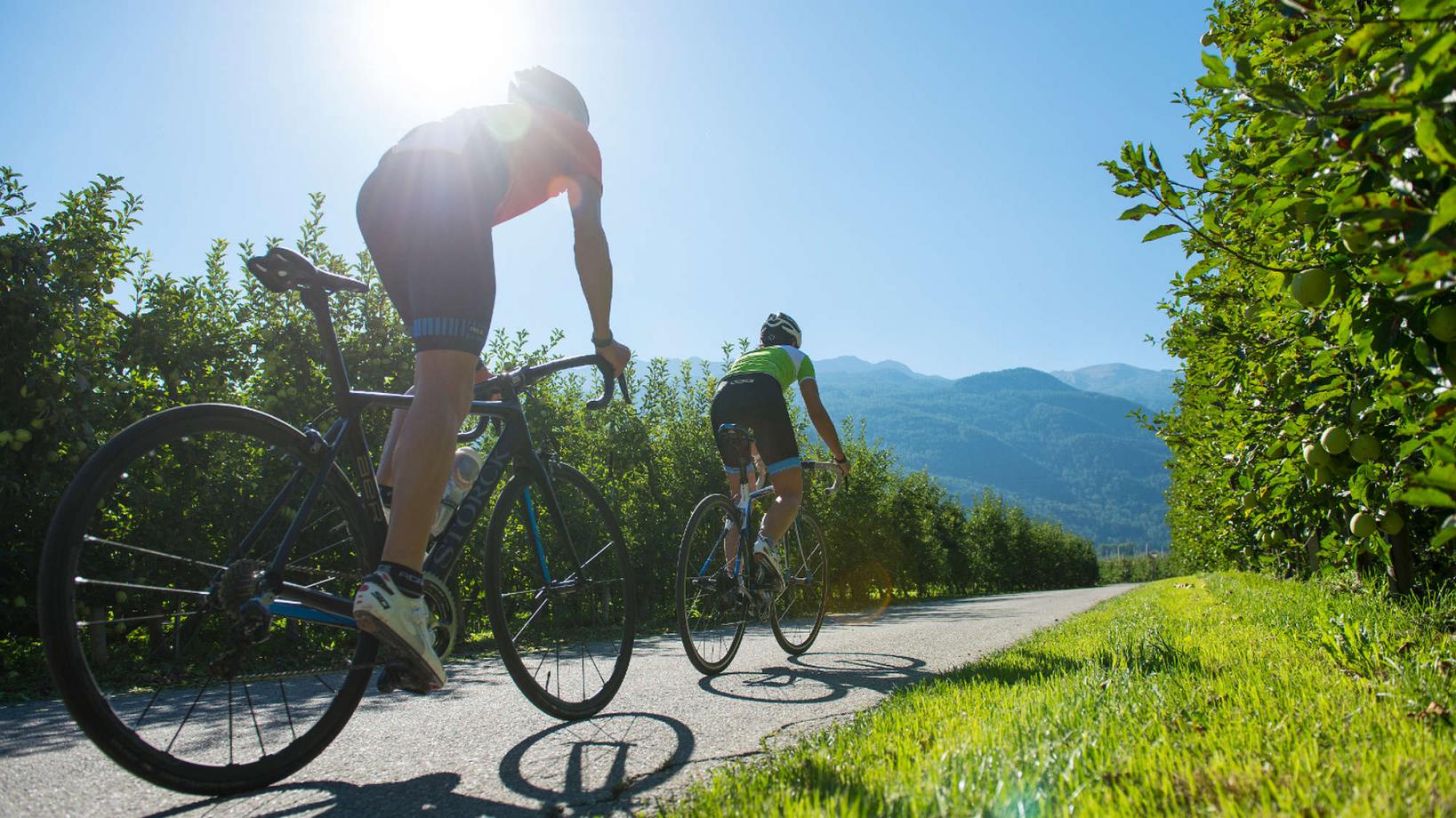 mappa bici da corsa: 14 Giro “Lago di Caldaro”