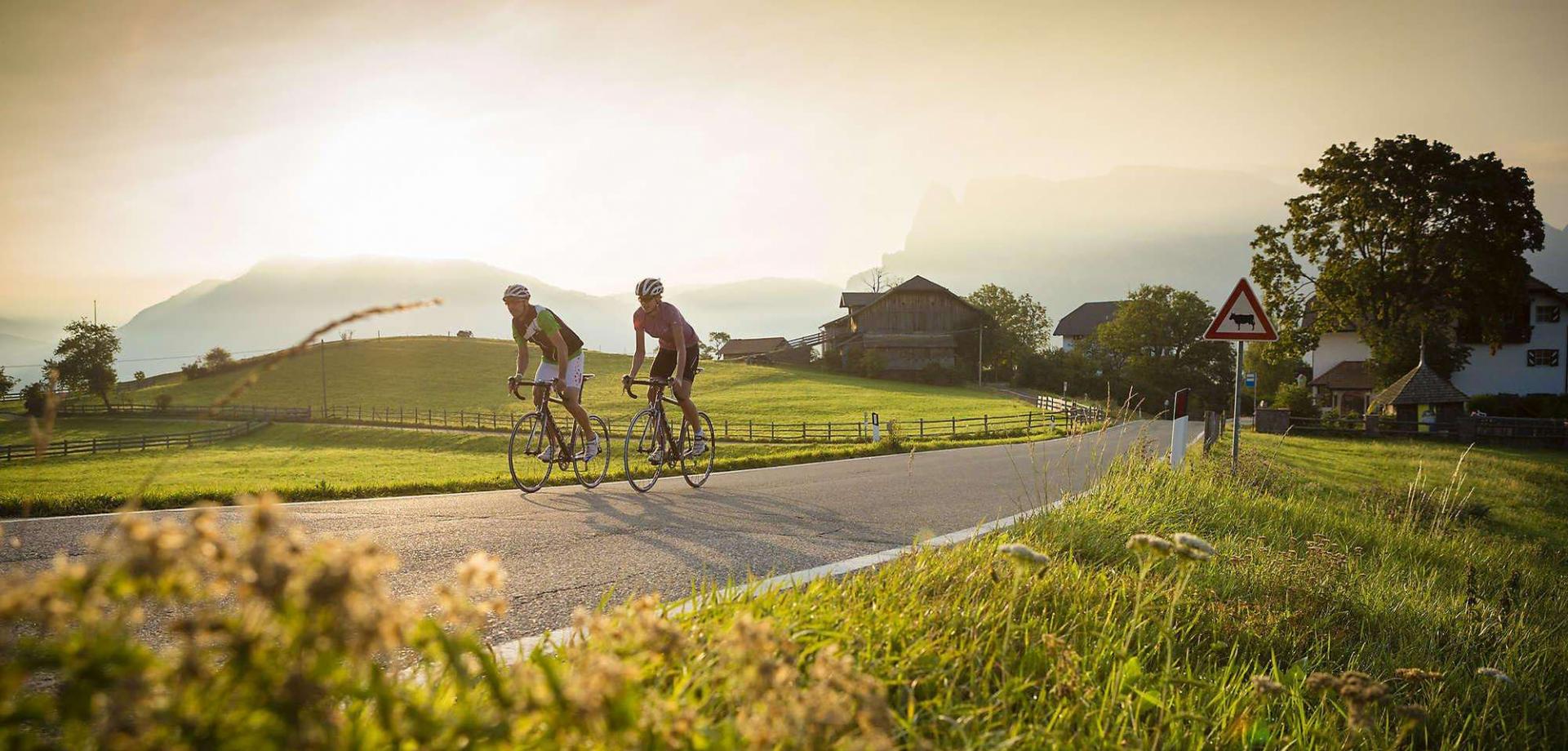 Il regno della bici da corsa