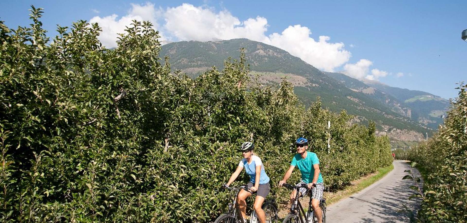Castelli e via nell'orto biologico