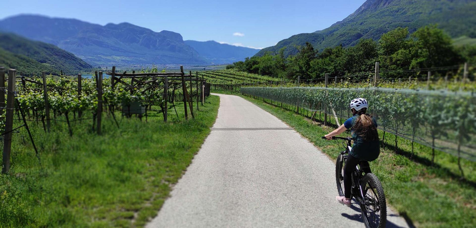 Genuss E-Bike Tour Kalterer See - "Die schönsten Weindörfer Südtirols"