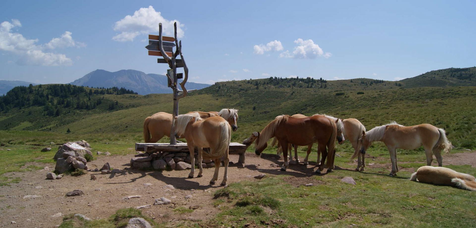 Panorama Trailtour rund um die Steinmännchen mit dem E-MTB