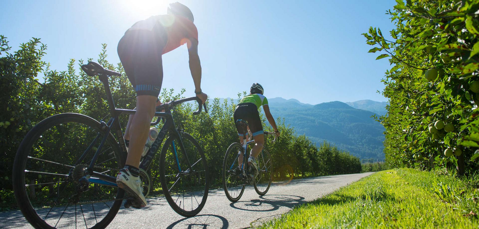 Rennrad- Highlight Vinschgau 