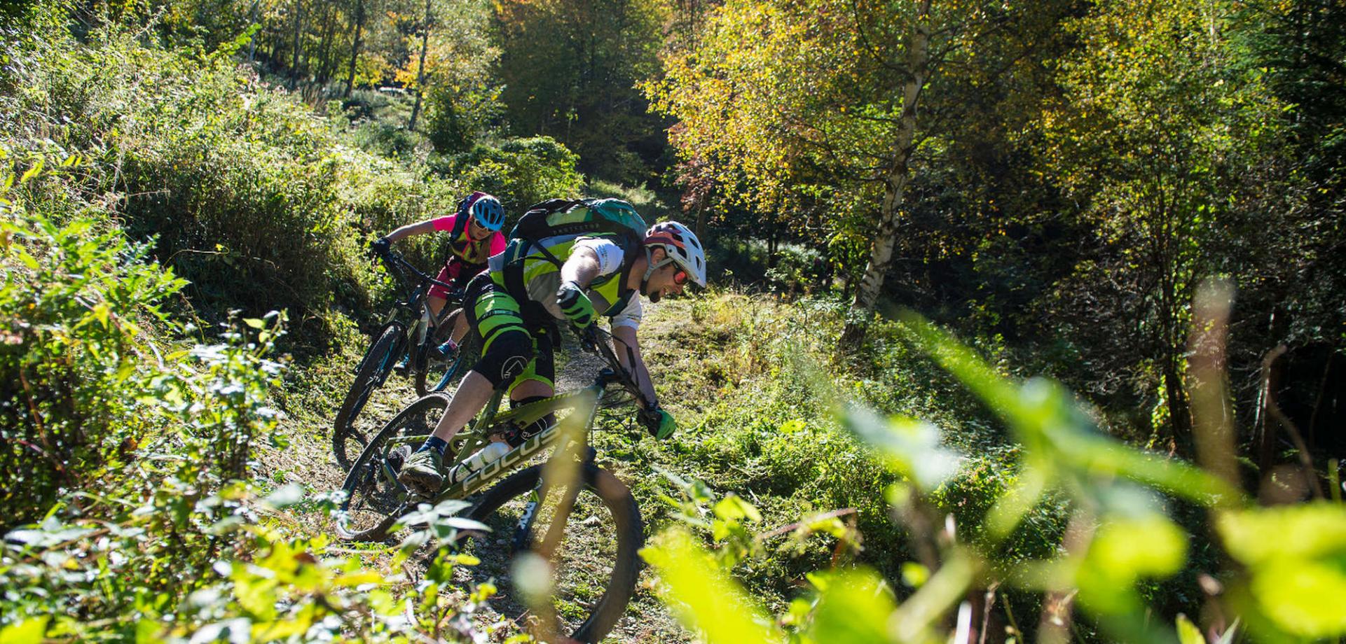 Trailtour Malga di Tarres