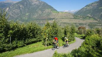 Rennradkarte Naturns nr. 06: Untervinschgau Tour