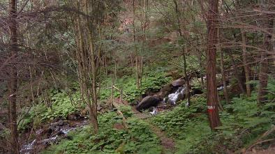 009 Tour "Morterer Leger - Holy Hansen Trail"