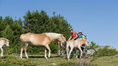 010 Tour to the "Schwarze Lacke" (black pond)