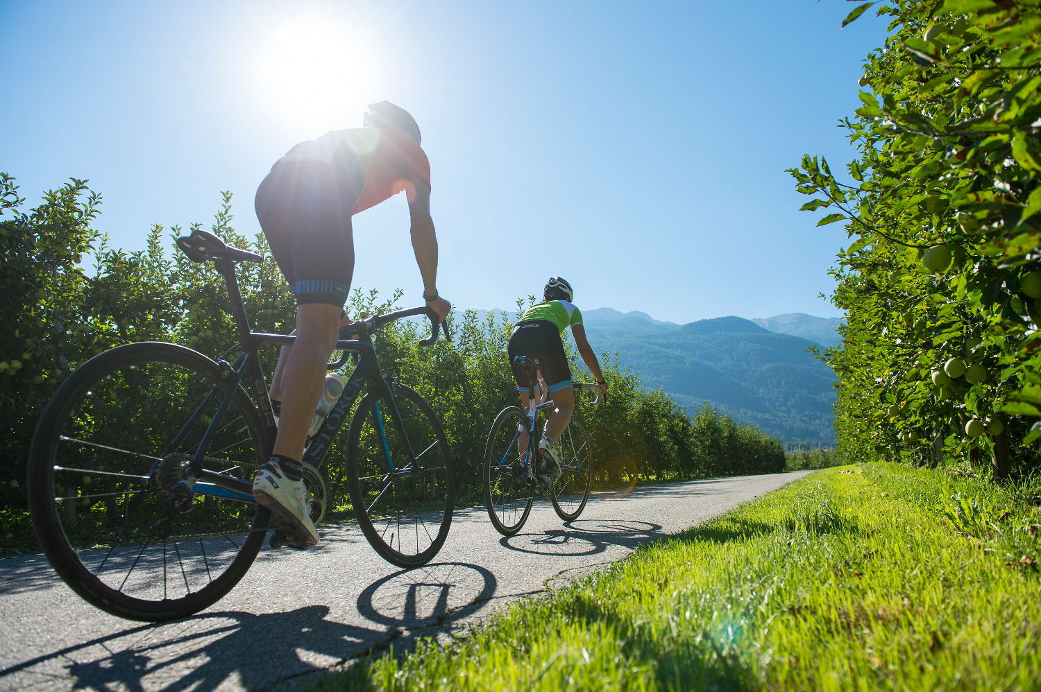 Mit dem Rennrad in Vinschgau / Südtirol: Rennradtouren um Meran